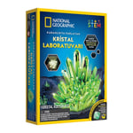 GPH-NAT08002 NATGEO PARLAYAN KRISTAL LAB 4 STAND