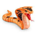 GPH-RBV00000-71137 ROBO ALIVE KOBRA 12