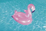 KZL-BW41122 BINICI FLAMINGO 127X127CM TUTUNMALI 8
