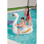KZL-BW41123 BINICI KUGU ALTIN SARI 122X122CM KUT 8