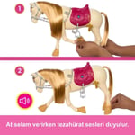 MATE-HXJ42 BARBIE VE DANSCI ATI 2