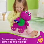 MATE-HYG89 SENSORY BARNEY 2