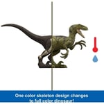MATE-JDC52 JW SURPRIZ DINOZOR FIGURLERI 3