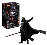 MEGA-75801MEGA-75801 STARWARS EVERGREENI DARTH VADER 6