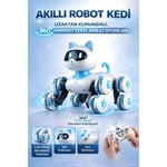 SEH-SH59966SEH-SH59966 U/K MERDIVEN CIKAN KEDI ROBOT 12