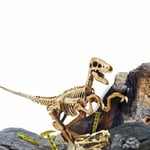 SUN-S00009566 BILIM SET SUPER KIT VELOCIRAPTOR 6