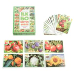 TABA-T01001420 F.CARD DOGASINDA ILK 50 MEYVE SEBZE 48