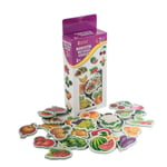 TABA-T02001307 MANYETIK MEYVELER SEBZELER 60