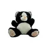 VAR-PB30453-22 PELUS 23 CM 4 AST KEDI 60