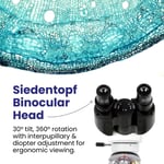 AmScope 40X-2500X LED Dijital Binoküler Bileşik Mikroskop 5MP Kamera