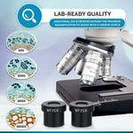 AmScope 40X-2500X LED Dijital Binoküler Bileşik Mikroskop 5MP Kamera