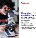 AmScope 40X-2500X LED Dijital Binoküler Bileşik Mikroskop 5MP Kamera