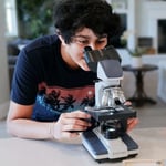 AmScope B120 Siedentopf Binoküler Bileşik Mikroskop
