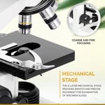 AmScope B490B Bileşik Binoküler Mikroskop