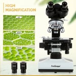 AmScope B490B Bileşik Binoküler Mikroskop