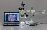 AmScope MU1000 10MP Dijital Mikroskop Kamera