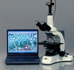 AmScope MU1000 10MP Dijital Mikroskop Kamera