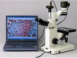 AmScope MU503 5MP USB 3.0 Mikroskop Dijital Kamera