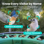 Birdfy 2 Akıllı Kuş Yemliği, Kamera, AI ile Kuş Türlerini Tanımlama 1 Kamera