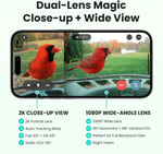 Birdfy 2 Akıllı Kuş Yemliği, Kamera, AI ile Kuş Türlerini Tanımlama 1 Kamera