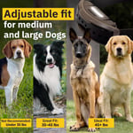 Dogtra 1900X E-Collar Eğitimi Tasması - 3/4 Mil, 16+ Kg Köpekler