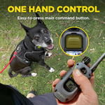 Dogtra 280X E-Tasma Uzaktan Kumandalı 2 Köpek Eğitim 1/2 Mil, 4,5 kg