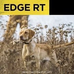 Dogtra Edge RT Uzun Menzilli Yüksek Çıkışlı Uzaktan Köpek Eğitimi
