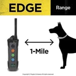 Dogtra Edge Uzun Menzilli Yüksek Çıkışlı Uzaktan Köpek Eğitimi