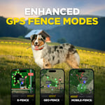 Dogtra Pathfinder 2 GPS Köpek Takip Cihazı ve Yaka LED Işık