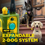 Dogtra Tom Davis 280C 2.0 Uzaktan Kumandalı Köpek Eğitimi (2025 Sürümü)