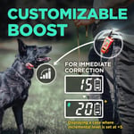 Dogtra Tom Davis 280C Uzaktan Köpek Eğitimi E-Yakasını Güçlendir ve Kilitle