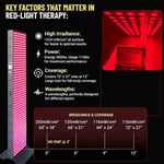 EXESAS Kırmızı Işık Terapisi Cihazı, Tüm Vücut İçin, 630nm, 660nm, 810nm ve 850nm (600 LED)