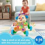 Fisher-Price Bebek Oyuncağı Güldür ve Öğren Akıllı Aşamalar Köpek Yürüteci