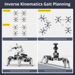 HIWONDER ROS2 Jetson Hexapod, OpenClaw Büyük Yapay Zeka Modelleri, ChatGPT, SLAM Haritalama, 3D