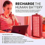 Hooga Kırmızı Işık Terapisi Baş ve Vücut İçin, Kırmızı 660nm Yakın Kızılötesi 850nm, 60 LED