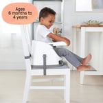 Ingenuity Baby Base 2'si 1 Arada Mama ve Yer Sandalyesi, Gri