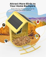 Onlyfly Güneş Enerjili Kameralı Kuş Yemliği: 2K Canlı Yayın Kamerası - Sarı