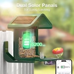 Onlyfly Güneş Enerjili Kameralı Kuş Yemliği: 2K Canlı Yayın Kamerası - Yeşil