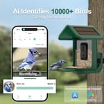 Onlyfly Güneş Enerjili Kameralı Kuş Yemliği: 2K Canlı Yayın Kamerası - Yeşil