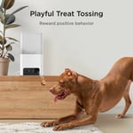 Petcube Bites 2 Lite WiFi Evcil Hayvan İzleme Kamerası - Otomatik Mama Kabı