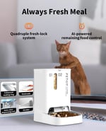PETKIT Kameralı Çift Hazneli Akıllı Mama Kabı – 1080P, WiFi, AI Hareket Algılama