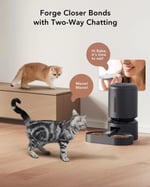 PETLIBRO 2 Kedi için Kameralı Oto Besleyici, 1080P HD Gece Görüşlü - Siyah