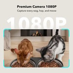 PETLIBRO 2 Kedili Kameralı Otomatik Mama Kabı – 1080P, 5G WiFi, Çift Mama Tepsisi, 5L