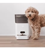 Petnet SmartFeeder (2. nesil) Otomatik Wi-Fi Evcil Hayvan Besleyici