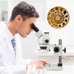 Swift Dijital Profesyonel Trinoküler Stereo Zoom Mikroskop