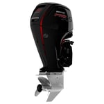 F 115 L ProXS Marşlı, Direksiyonlu, Trimli, Dört Zamanlı Deniz Motoru