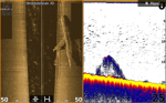 StructureScan® 3D Modül + Transducer