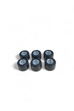 AĞIRLIK SETİ 6'LI [15gr - 20x15] HONDA DİO - ACTİVA S