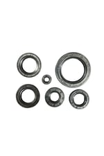 KEÇE TAKIMI [6 LI SET] CG - KUBA ÇİTA - MH DRİFT - DRİFT L KEÇE SETİ