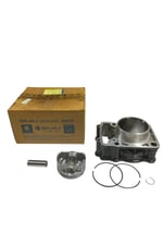 SİLİNDİR KOMPLE [ORJİNAL] BAJAJ PULSAR NS 200 RS 200 [36JL0007]